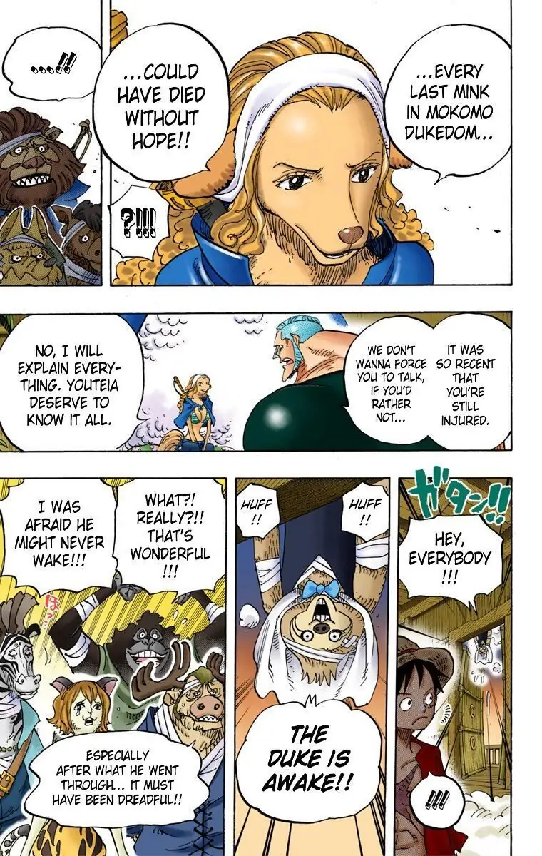 One Piece Digital Colored Chapter 807 image 18